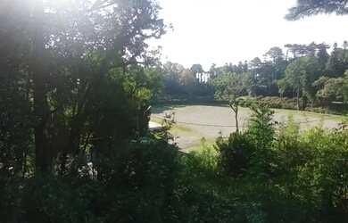 Imagem 14: Area - Bairro Planalto. 800m² de Área