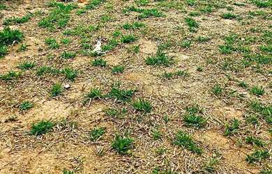 Imagem 2: Terreno à venda em Indaiatuba, Jardim Casablanca, com 160 m²