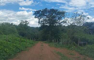 Imagem 4: Venda de lote. 3.500m² de Área