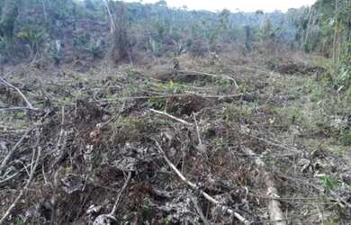 Imagem 9: Area rural 200 hectares. 200m² de Área