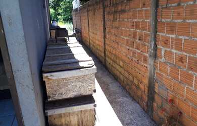 Imagem 6: Casa de Alvenaria bairro Quebc