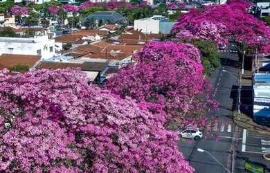 Imagem 9: Terreno à venda, 944 m² por R$ 1.300.000,00 - Santa Terezinha - Paulínia/SP
