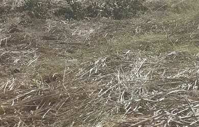 Imagem 6: TERRENO EM CONDOMINIO. 450m² de Área