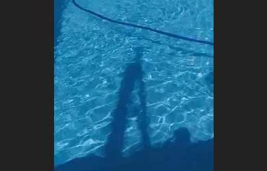 Imagem: A casa em condomínio possui 2 Dormitórios, 1 Banheiro, 2 Vagas