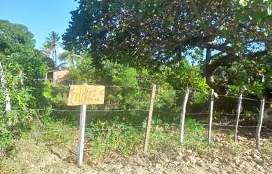 Imagem 6: Terreno na areia branca, mosqueiro