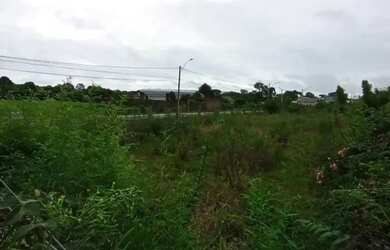 Imagem 5: Terreno - Bairro São José