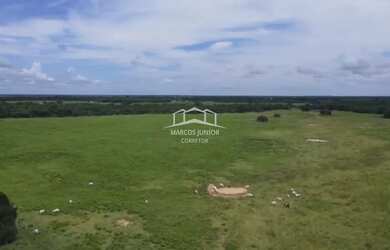 Imagem 3: EXCELENTE FAZENDA DE PLANTIO DE BANANA E PECUARIA NO NORTE DE MINAS