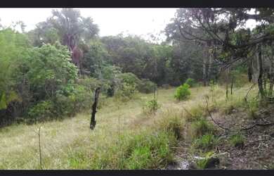 Imagem 4: A M Imoveis Vende ou Permuta fazenda em Cavalcante - Goiás