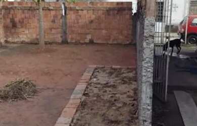 Imagem 6: Casa pra vender no aeroporto.o terreno ao lado tbem faz parte dela