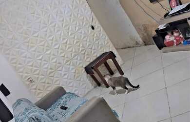 Imagem: A casa possui 2 Dormitórios, 1 Banheiro e está localizado