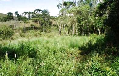 Imagem: O terreno possui 1.626m² de Área e está localizado em Campos