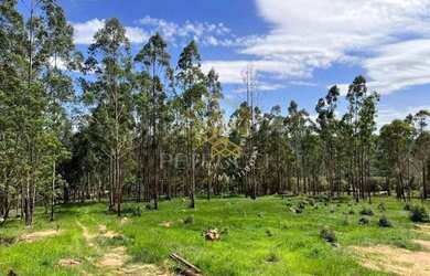 Imagem 2: Terreno à venda, 20171 m² por R$ 744.900,00 - Condomínio Fazenda Iracema...