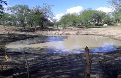 Imagem 3: Fazenda em Ipirá BA. 120.000m² de Área Privada