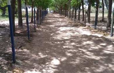 Imagem 16: Linda fazenda com 165 há e uma estrutura de primeira qualidade