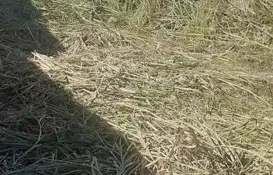 Imagem 3: TERRENO EM CONDOMINIO. 450m² de Área