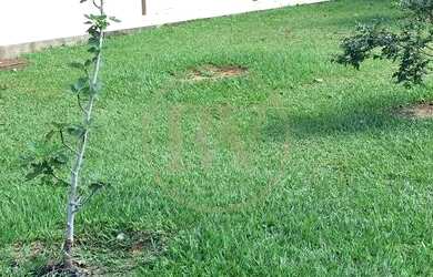 Imagem 8: Chácara em Zona Rural - Bela Vista de Goiás, GO