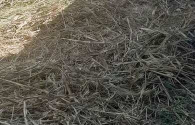 Imagem 13: TERRENO EM CONDOMINIO. 450m² de Área