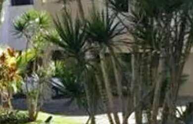 Imagem 2: Apartamento em Rua das Gaivotas - Ingleses do Rio Vermelho - Florianópolis/SC