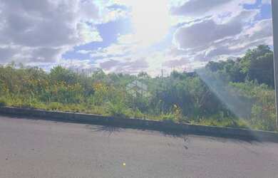 Imagem 11: Terreno à venda no bairro São Giácomo, Caxias do Sul