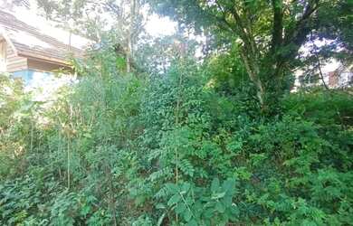 Imagem 7: Area - Bairro Planalto. 800m² de Área