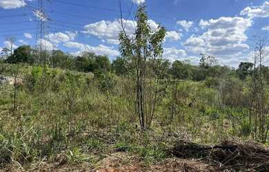 Imagem 12: 85A- LOTEAMENTOS E ATIBAIA - PRÓXIMOS AO CENTRO