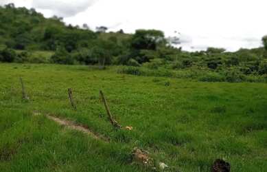 Imagem: A fazenda possui 629.200m² de Área e está localizado em