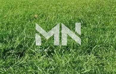 Imagem 10: Lote condomínio à venda, Condomínio Villas do Golfe - Itu/SP