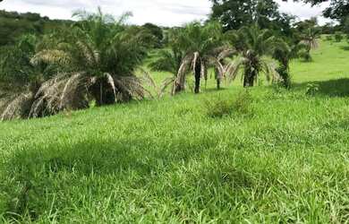 Imagem 8: Alugo Pasto Abadia de Goiás 3 Alqueire com água