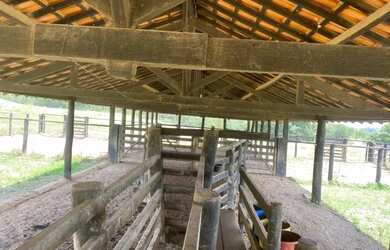 Imagem 5: Fazenda Shangrilá Água Abundante Goiás