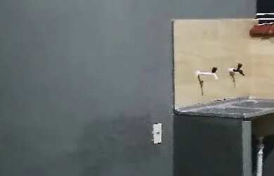 Imagem 15: ALUGO CASA RUA PORTUGAL NO BAIRRO JARDIM LEAL CAXIAS