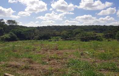 Imagem: A chácara possui 7.000m² de Área e está localizado em Olímpia