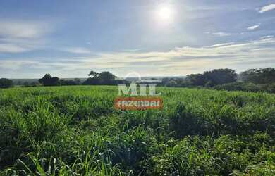 Imagem: A fazenda possui 500m² de Área e está localizado em São