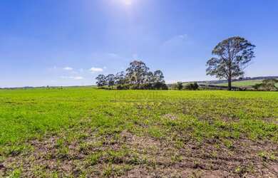 Imagem 1: AF- Fazenda entrada R$16.500