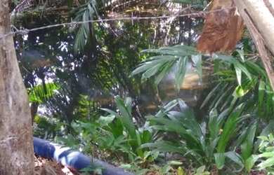 Imagem 10: Linda fazenda com 165 há e uma estrutura de primeira qualidade