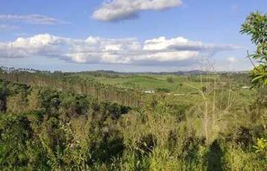Imagem 2: Terreno para venda possui 1000 metros quadrados em Santa Isabel/SP