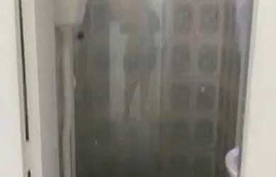 Imagem 5: Casa para alugar no doron