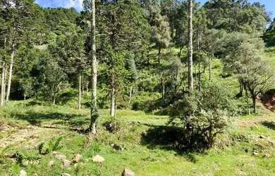 Imagem: O terreno possui 1.000m² de Área e está localizado em Urubici