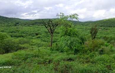 Imagem 2: FAZENDA EM BOA VISTA DO TUPIM - 1200 TAREFAS
