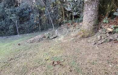 Imagem 7: Amplo terreno em otima localização em Garibaldi