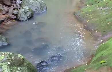 Imagem: A chácara possui 20.000m² de Área e está localizado em