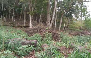 Imagem 16: Oportunidade 3 mil mts 57 mil reais