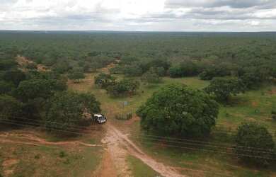 Imagem 11: Fazenda 15.416. Valor 61.664.000