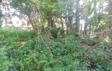 Imagem 5: Area - Bairro Planalto. 800m² de Área