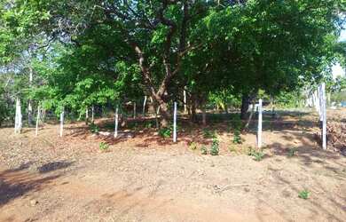 Imagem: O terreno possui 750m² de Área e está localizado em Plano