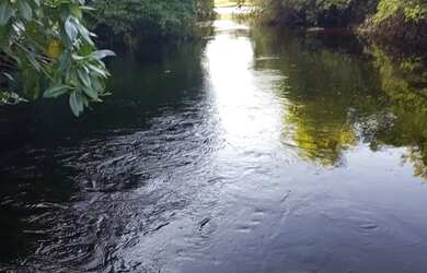Imagem 3: FAZENDA EM IAÇU - 300 TAREFAS