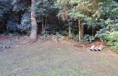 Imagem 8: Amplo terreno em otima localização em Garibaldi