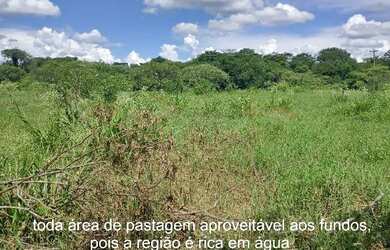 Imagem 15: Sítio Chácara 20.000m2 Aceito Carro e Casa Artur Nogueira Rico em Água Fundos Poquinha