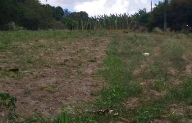 Imagem 8: Linda fazenda com 165 há e uma estrutura de primeira qualidade