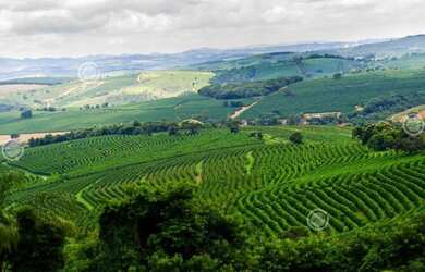 Imagem 1: AF- Fazenda entrada R$16.500
