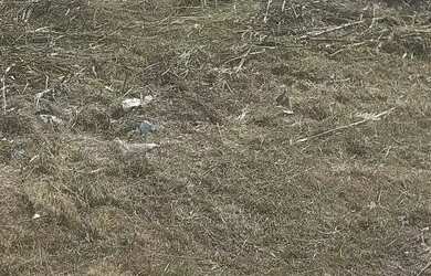 Imagem 11: TERRENO EM CONDOMINIO. 450m² de Área